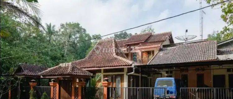 Jual Rumah / Homestay di Sedayu Jogja 1