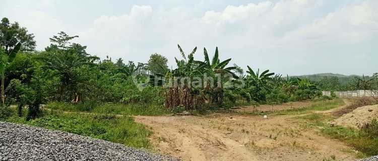 Tanah Pinggir Jalan Raya, Kaliwungu Kendal 1