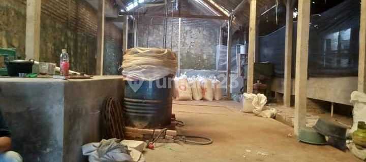 Bangunan Peternakan Sapi lokasi Magetan Jawa Timur 1