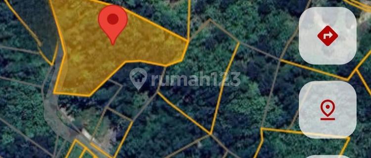 For sale 800k/m2 land, concrete access, located in Pringapus, Semarang Regency. 1
