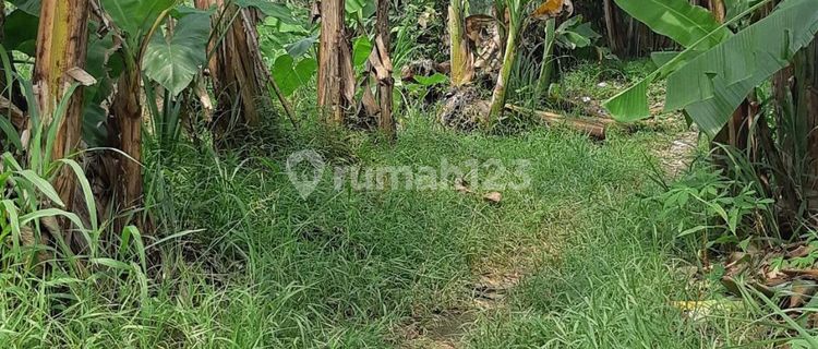 Dijual Tanah Ada Villa Dan Resto di Jalan Raya Anyer, Serang 1