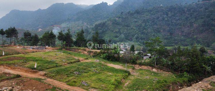 PUNCAK 2! Kavling Villa SHM 1000 MDPL Di Bogor! Anti Ganjil-Genap. 1