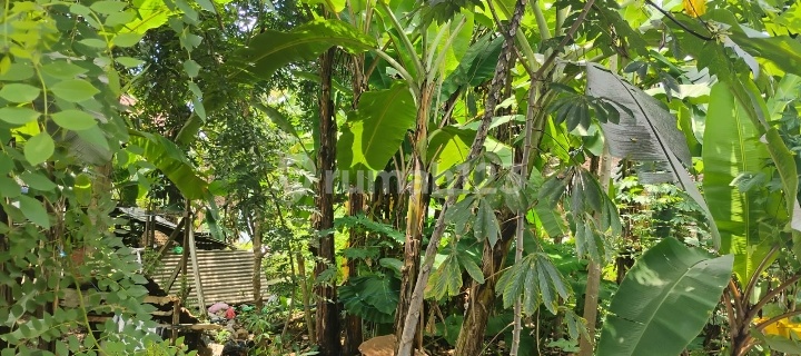 Land, 1 Floor, SHM, in Tembalang, 1