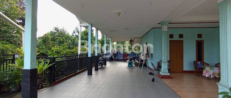 RUMAH DI PINGGIR JALAN DI KAMPUNG 1