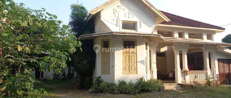 RUMAH INTERIOR CLASSIC BANGUNAN PREMIUM TULUNGAGUNG KOTA 1