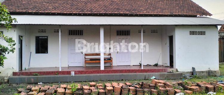 FOR RENT: SHOPHOUSE AND WAREHOUSE, FORMERLY USED FOR LOGISTICS. LOCATED JUST A STEP AWAY FROM THE MAIN ROAD AND SECURE. 1