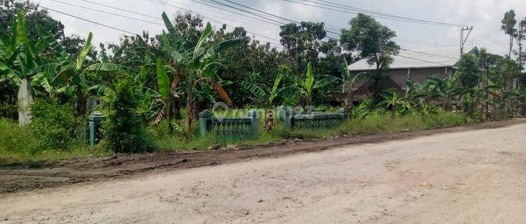 Tanah Pekarangan di Sragen Cocok Utk Usaha 1