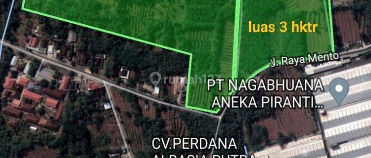 Dijual tanah di wonogiri area pergudangan dan industri sangat cocok u industri dan pergudangan , jalan aspal  1