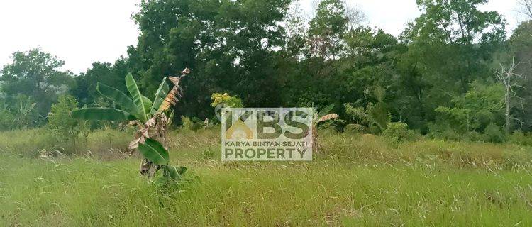 Dijual Tanah Lokasi Kp. Bugis, Toapaya - Bintan 1