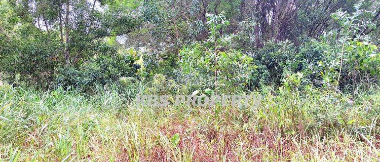 Dijual Tanah Kapling Lokasi Jl. R.h Fisabilillah, Km 8 Atas Tanjungpinang  1