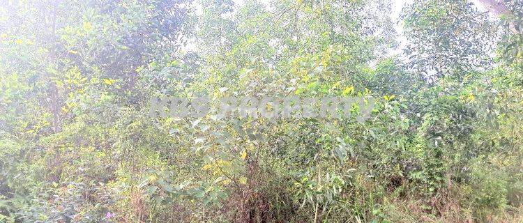 Dijual Tanah Lokasi Jl. Asia Afrika, Km 13 Tanjungpinang  1