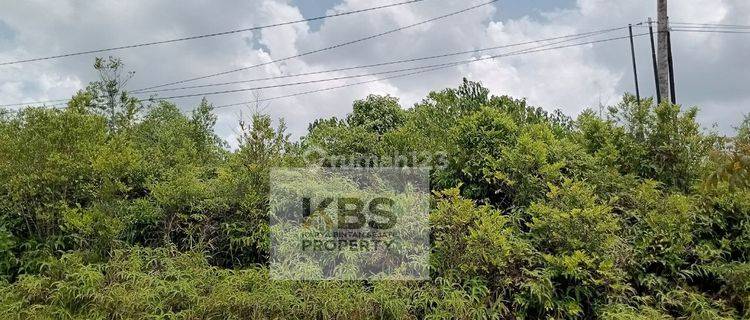 Dijual Tanah Jl. Raya Uban Km 29 Bintan 1