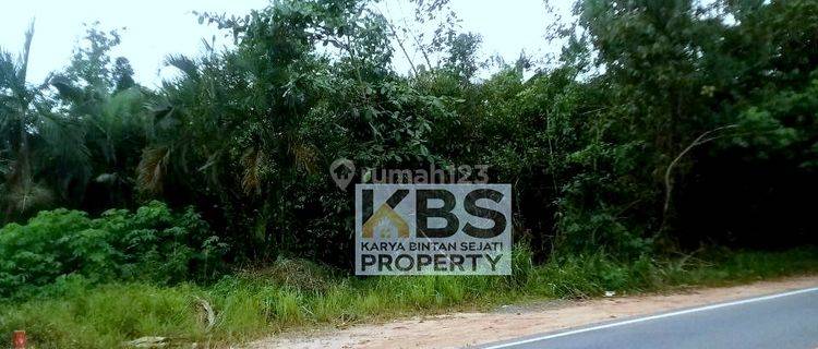 Dijual Tanah  Luas 37.840m² Lokasi Jl. Kawal - Bintan 1