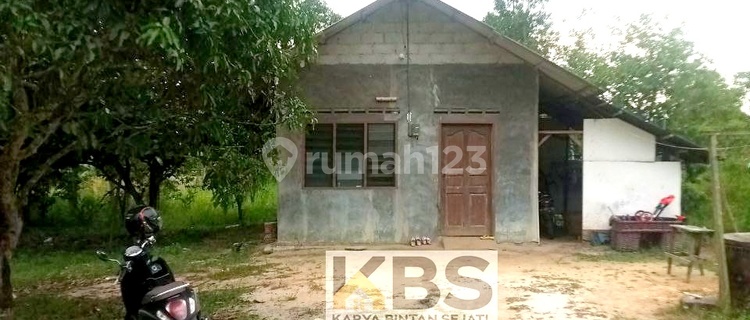 DIJUAL TANAH LUAS + BONUS RUMAH TYPE 28 – JL. BUMI INDAH, BINTAN 1