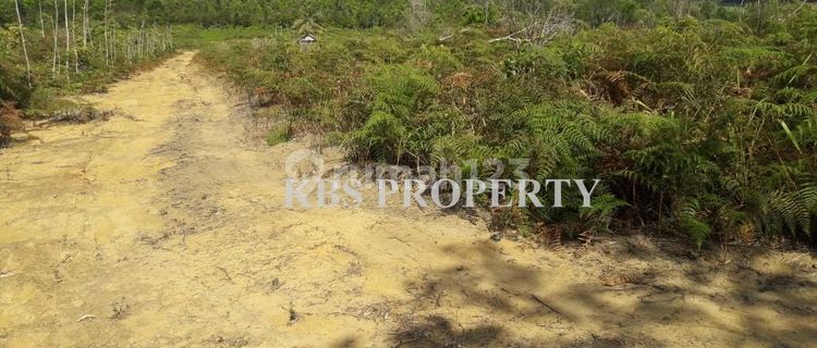 Dijual Tanah Lokasi Jl. Kang Boy - Tanjungpinang 1