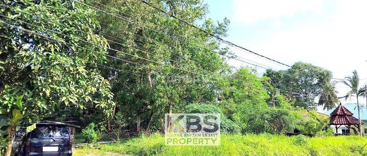 Dijual Tanah Luas 1.361m2 Lokasi Jalan Maharani Tanjungpinang 1