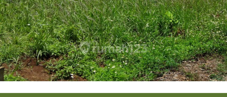 DIJUAL TANAH DENGAN PEMANDANGAN SHM TLOGO TUNTANG KAB SEMARANG 1