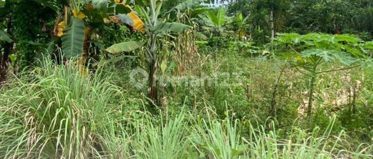 Dijual Tanah Luas SHM Podorejo Ngaliyan 1