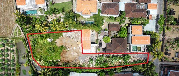 Dijual Tanah 8,25 Are Lodtunduh Ubud Gianyar Bali 1