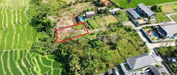 Dijual Tanah View Sawah Terasering Sungai Komplek Villa Mas Ubud 1