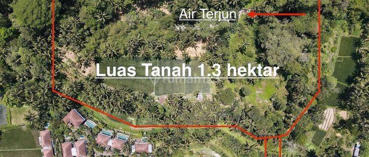 Tanah Tegalalang Ubud Sangat Cocok Peruntukan Villa Resort 1