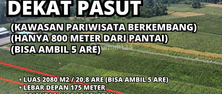 Tanah Kavling Murah Beraban Pasut Tabanan Itr Pariwisata 1