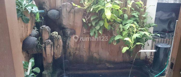 Dijual cepat rumah di  Cendrawasih Kaliderrs  1