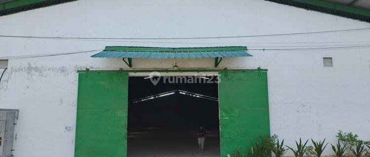 Disewakan Gufang 400m2 Di Bitung Tangerang Lokasi Strategis Aman 1
