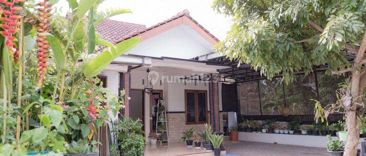 Rumah Full Furnished Lengkap Dengan Toko Di Giriwoyo Wonogiri 1