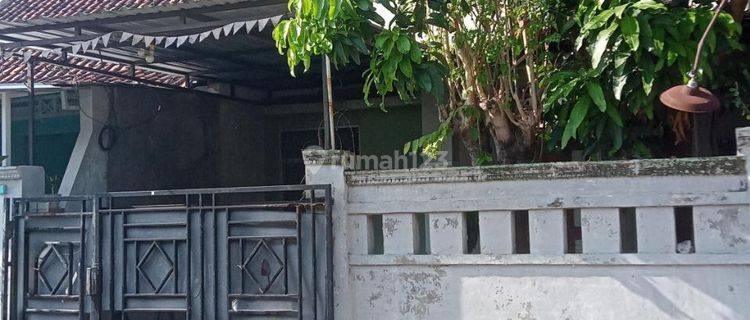 Rumah Murah Siap Huni Dekat Superindo Gumpang  1