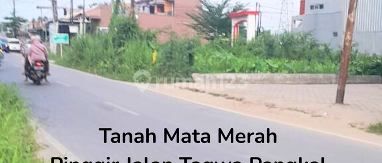 tanah  1