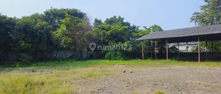 Dijual Cepat Tanah Kavling Badung Bali Siap Bangun 1