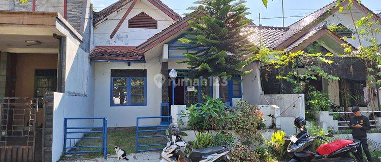 Rumah Hadap Taman Di Jl Culan Taman Yasmin 1