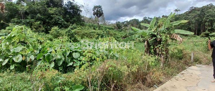 DIJUAL TANAH PINGGIR JALAN COR PERUMAHAN LOKASI KM 12 COCOK DIBUAT RUMAH TINGGAL, KONTRAKAN, KEBUN DAN PETERNAKAN HARGA NEGO 1