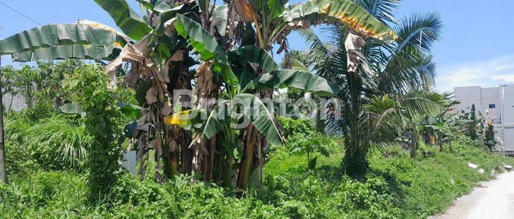 TANAH PINGGIR JALAN COR PERUMAHAN LOKASI BATU AMPAR PERUMAHAN SOSIAL COCOK DIBUAT RUKO, RUMAH TINGGAL, KOS KOSAN ATAU KONTRAKAN HARGA NEGO 1