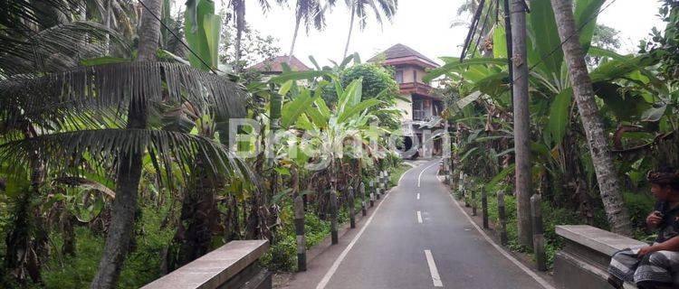 TANAH SANGAT COCOK UNTUK VILLA 1