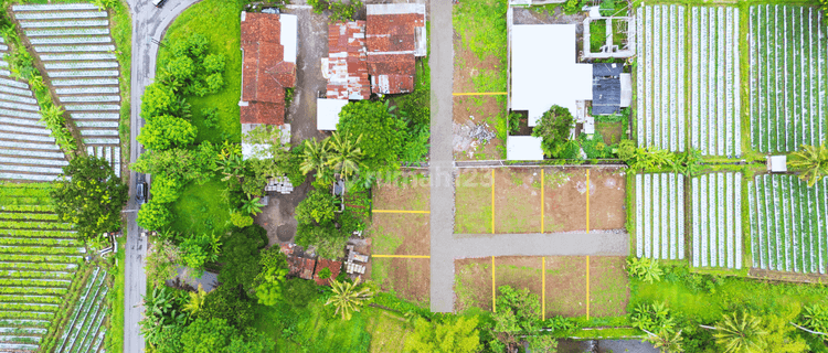 Tanah Dekat Ugm Siap Bangun, Kawasan Kost Jl.kaliurang Jogja 1