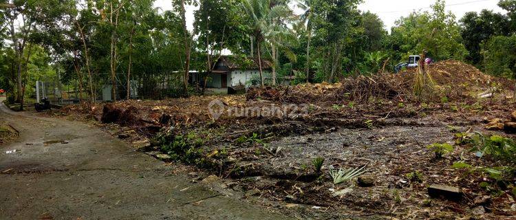 300 meter Jl. Kawasan Industri  Tanah Sentolo cocok investasi   1