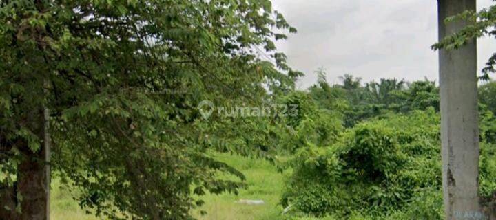 Tanah Kosong Bekas Pabrik 3.1 Ha Dibinjai Barat 1
