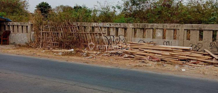 Dijual tanah depan jalan raya ciangsana cibubur 1