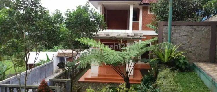 Dijual 2 Bangunan Villa Ada Kolam Renang di Ciapus Bogor 1