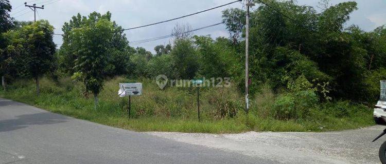 Tanah 2,4 Hektar Dekat Jalan Raya Dan Bandara Pekanbaru 1