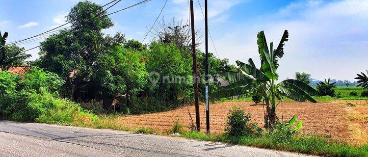 Tanah Luas Di Pinggir Jalan Raya Babelan 1