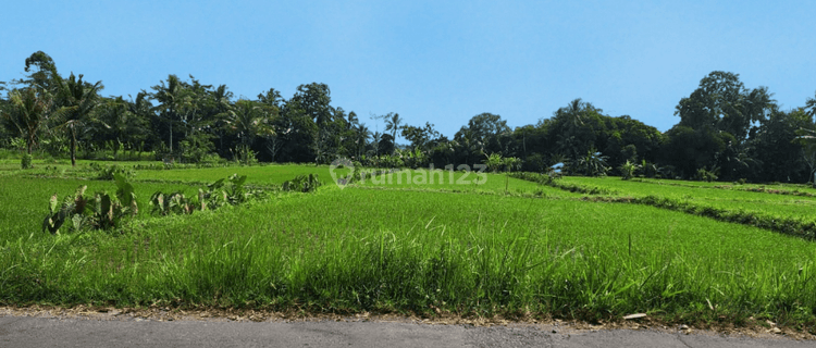 Tanah Sleman Dekat Fasilitas Kampus UII, SHM 1