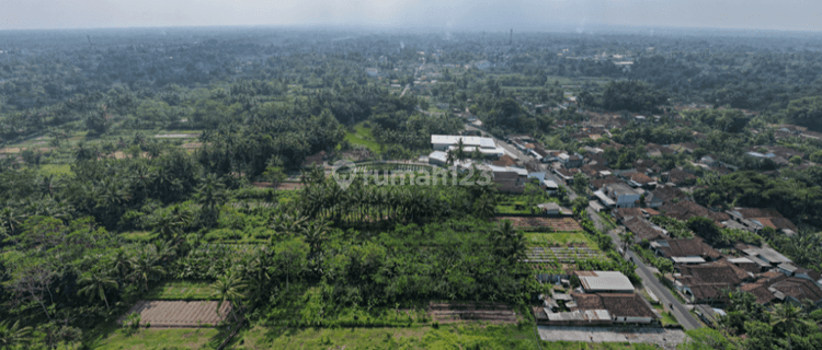 Tanah Cocok Bangun Hunian, Akses Jl. Magelang-Jogja 1