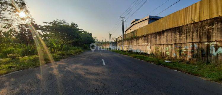 Tanah Kulon Progo: Lokasi Ideal untuk Kost Karyawan Anda 1