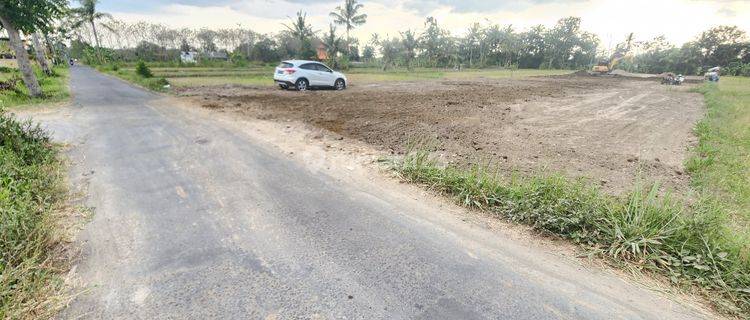 Tanah Ter-Murah Dekat UII Jogja, Lokasi Asri dan Cocok untuk Kost 1