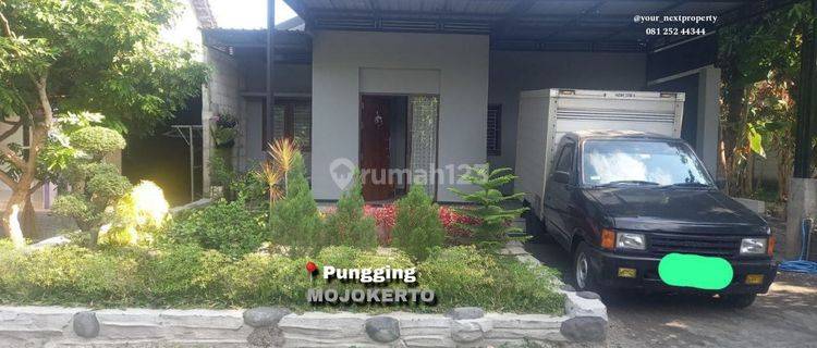 Rumah Minimalis Modern Full Furnish Di Mojosari Mojokerto Dn1311  1