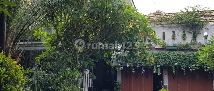 Jual Rumah Akses Jalan Besar Di Komplek Jatipadang Dekat Ampera  1
