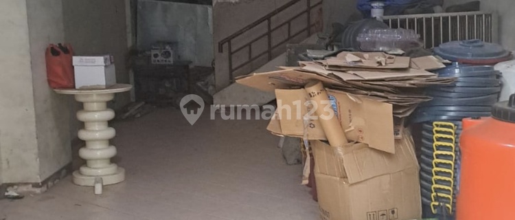 Rainbow Ruko Ready to Use 1